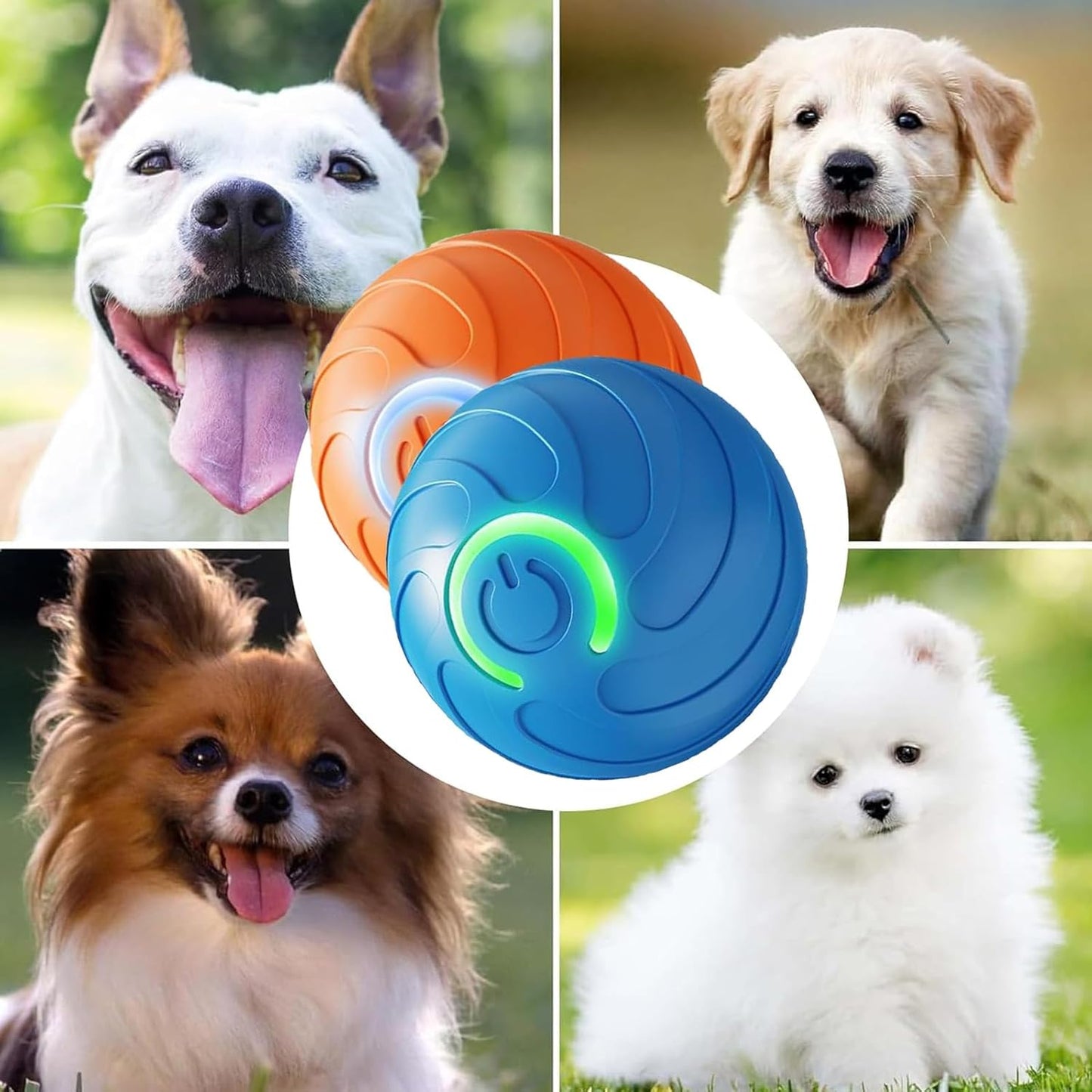 Mascotas entretenidas y activas con la Pelota Inteligente